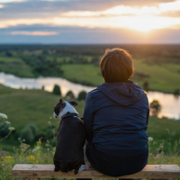 Vivre en harmonie avec son chien