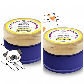 Illustration de l'article : Avec le coffret inédit de Truffe & Moustache, gâtez votre boule de poils préférée pour les fêtes de fin d’année !