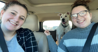 Illustration de l'article : Après 8 mois d’exercice pour apprendre à communiquer, une chienne sourde parvient enfin à attirer l’attention d’une personne