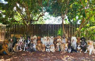 Illustration de l'article : 20 joyeux portraits collectifs pris dans une pension pour chiens où ces photos de groupe sont devenues tradition