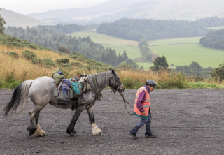Illustration de l'article : À l'âge de 80 ans, cette femme  grimpe sur son cheval pour un périple de 7 semaines tous les ans, en compagnie de son chien handicapé 
