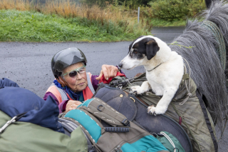 Illustration de l'article : À l'âge de 80 ans, cette femme  grimpe sur son cheval pour un périple de 7 semaines tous les ans, en compagnie de son chien handicapé 