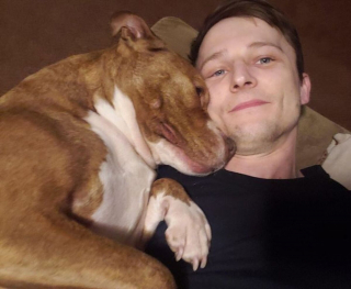 Illustration de l'article : 7 photos de chiens qui débordent de tendresse et en offrent sans compter