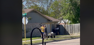 Illustration de l'article : À l’aide d’un petit chariot, cet homme a permis au chien âgé du voisin de terminer sa promenade (vidéo)