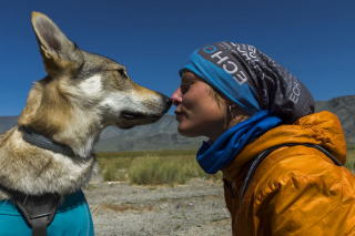Illustration de l'article : 17 photos captivantes de Diuna, Chien Loup Tchécoslovaque enchaînant les périples en famille