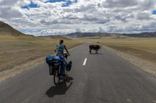 Illustration de l'article : 17 photos captivantes de Diuna, Chien Loup Tchécoslovaque enchaînant les périples en famille