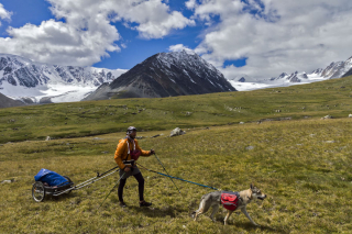 Illustration de l'article : 17 photos captivantes de Diuna, Chien Loup Tchécoslovaque enchaînant les périples en famille