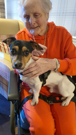 Illustration de l'article : Les résidents de cette maison de retraite ont toujours le sourire lorsque le chien Milo vient leur rendre visite