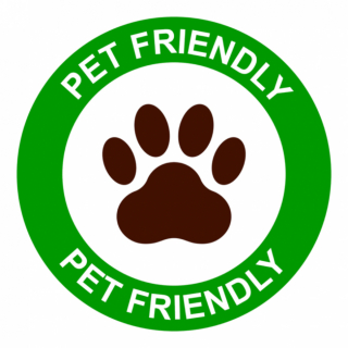 Illustration de l'article : 10 bonnes raisons de vous faire accompagner de votre chien lors de vos vacances