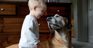 Illustration de l'article : 10 bonnes raisons de vous faire accompagner de votre chien lors de vos vacances