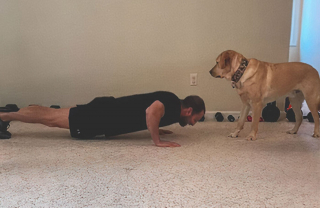 Illustration de l'article : 13 chiens ayant de surprenantes habitudes, racontées par leurs maîtres