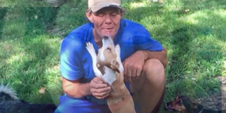 Illustration de l'article : Ce sans-abri a choisi d’aider les animaux sans contrepartie et grâce au hasard, il a eu la plus belle des récompenses