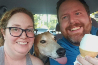 Illustration de l'article : 10 chiens ayant décidé de n'en faire qu'à leur tête et auxquels il est impossible d'en vouloir