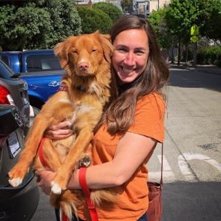 Illustration de l'article : 15 merveilles de photos montrant Milo, Retriever de la Nouvelle-Ecosse, en compagnie de ses amis papillons