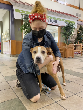 Illustration de l'article : En phase terminale d’un cancer, cette chienne abandonnée n'attendait qu’une chose : connaître la chaleur d’une famille avant de partir