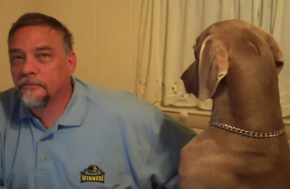 Illustration de l'article : Vidéo : ce chien tente désespérément d’intéresser son papa, qui fait exprès de l’ignorer