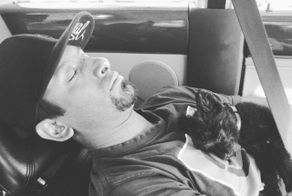 Illustration de l'article : 14 photos craquantes de Gizmo, petit chien que l'on prendrait pour une peluche