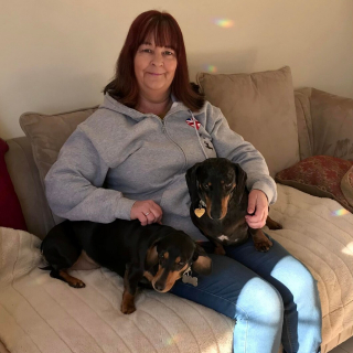 Illustration de l'article : Les maîtres d'un Teckel trop âgé pour se reproduire n’avaient aucun scrupule et comptaient l’emmener à l’abattoir