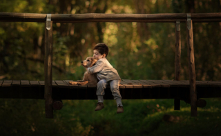 Illustration de l'article : 16 photos illustrant magnifiquement l'amitié entre un garçon et sa chienne