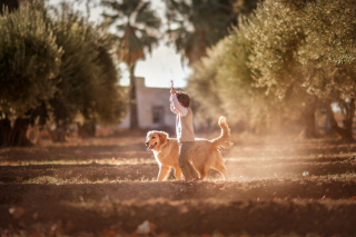Illustration de l'article : 16 photos illustrant magnifiquement l'amitié entre un garçon et sa chienne