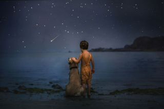 Illustration de l'article : 16 photos illustrant magnifiquement l'amitié entre un garçon et sa chienne