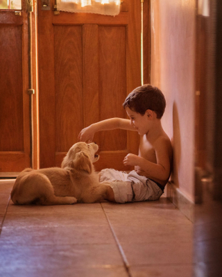 Illustration de l'article : 16 photos illustrant magnifiquement l'amitié entre un garçon et sa chienne