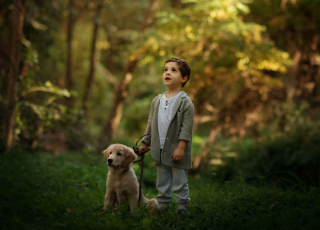 Illustration de l'article : 16 photos illustrant magnifiquement l'amitié entre un garçon et sa chienne