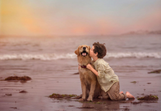 Illustration de l'article : 16 photos illustrant magnifiquement l'amitié entre un garçon et sa chienne