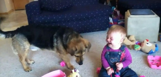 Illustration de l'article : Vidéo : un bébé rit aux éclats en voyant son chien sauter en l’air pour éclater des bulles de savon