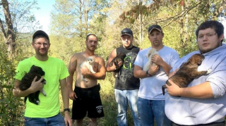 Illustration de l'article : 8 amis, qui fêtaient un enterrement de vie de garçon, ont découvert 8 chiens avec lesquels ils seront liés pour toujours