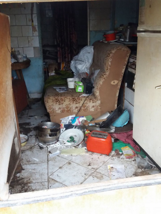 Illustration de l'article : Ce chien aveugle et négligé découvre le bonheur après avoir a été retrouvé dans une maison délabrée