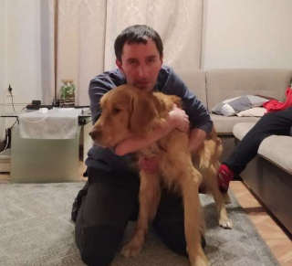 Illustration de l'article : Un Golden Retriever tombe dans un trou et est retrouvé un mois plus tard par un Jack Russell Terrier !