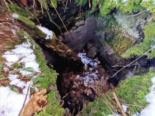 Illustration de l'article : Un Golden Retriever tombe dans un trou et est retrouvé un mois plus tard par un Jack Russell Terrier !