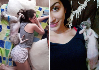 Illustration de l'article : 15 photos de chiens qui n'en ont que faire du respect de votre espace personnel