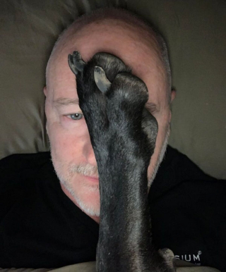 Illustration de l'article : 15 photos de chiens qui n'en ont que faire du respect de votre espace personnel