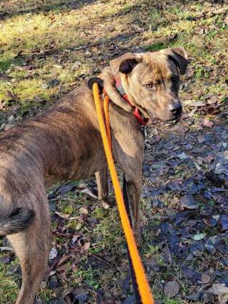 Illustration de l'article : Vidéo : Le résident le plus ancien d’un refuge quitte le lieu sous les applaudissements du personnel