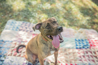 Illustration de l'article : Vidéo : Le résident le plus ancien d’un refuge quitte le lieu sous les applaudissements du personnel