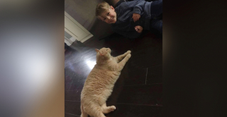 Illustration de l'article : Contrairement aux enfants de son âge, Easton n’a pas souhaité adopter un chaton ou un chiot