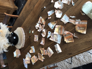 Illustration de l'article : Un chiot découvre une enveloppe remplie de billets d’argent, et la déchiquette entièrement !