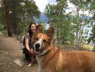 Illustration de l'article : 20 chiens farceurs avec lesquels il est impossible d'obtenir la moindre photo correcte