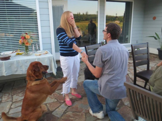 Illustration de l'article : 20 chiens farceurs avec lesquels il est impossible d'obtenir la moindre photo correcte