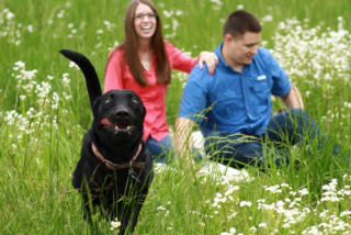 Illustration de l'article : 20 chiens farceurs avec lesquels il est impossible d'obtenir la moindre photo correcte