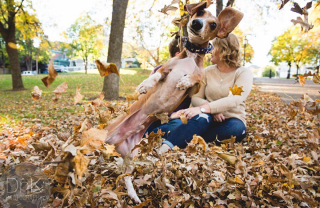 Illustration de l'article : 20 chiens farceurs avec lesquels il est impossible d'obtenir la moindre photo correcte