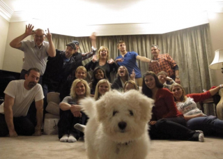 Illustration de l'article : 20 chiens farceurs avec lesquels il est impossible d'obtenir la moindre photo correcte