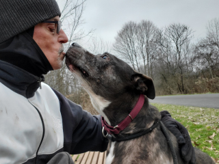 Illustration de l'article : Doug s’est donné corps et âme pour trouver une famille à l’un des pensionnaires d’un refuge et n’a jamais lâché l’affaire
