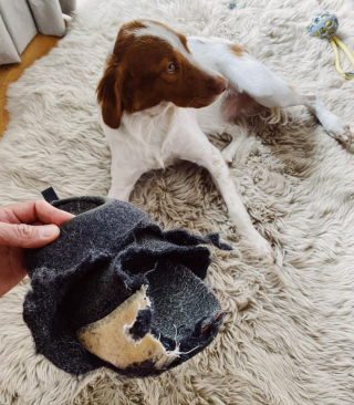 Illustration de l'article : 12 photos de chiens pris en flagrant délit de bêtise et qui l'assument plus ou moins