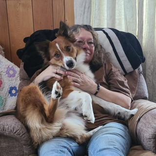 Illustration de l'article : 20 photos de chiens à la stature imposante, mais qui se se prennent encore pour des chiots