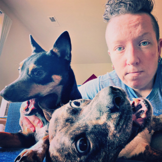 Illustration de l'article : 20 histoires touchantes de chiens ayant rencontré la bonne personne au bon moment