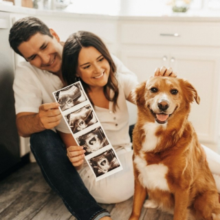 Illustration de l'article : 20 histoires touchantes de chiens ayant rencontré la bonne personne au bon moment