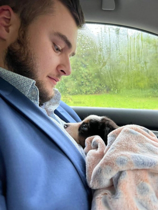 Illustration de l'article : 8 photos illustrant à merveille la tendresse et l'amour dont nos chiens sont capables